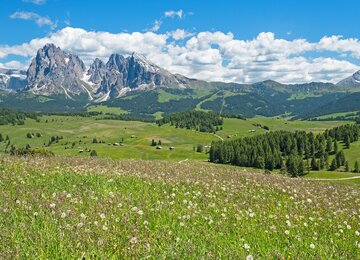 Seiser Alm Italien Dolomiten Berge 3 Zinne drei Zinnern Tagesfahrt | © pixabay